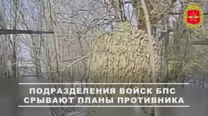 00:00 Операторы БПЛА «Южной» группировки уничтожили пункт управления беспилотниками и станцию кон...