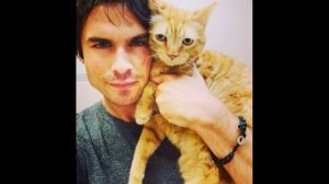 Любимые питомцы звезд кино