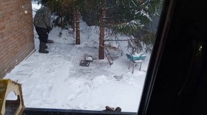 с раннего утра столовая в диком зоопарке открыта