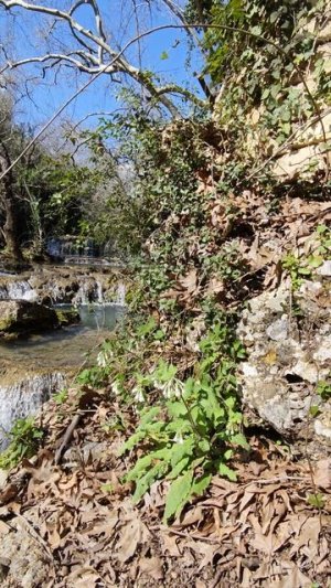 Водопад в Анталии