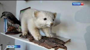 Вести-Томск, выпуск от 23.02.2026 21:10