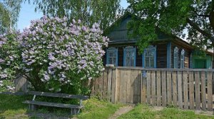 Песня «Пройду по Абрикосовой, сверну на Виноградную» на музыку Юрия Антонова ....кавер