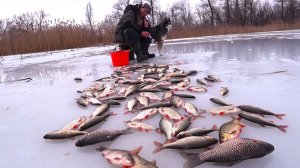 ДУМАЛ ГЛУХОЗИМЬЕ, А ТУТ КАК ПОПЁРЛО! РЫБАЛКА, КАК ВО СНЕ! С НОЧЕВОЙ В ПАЛАТКЕ, ПЕЧКОЙ, АЭРОЛОДКОЙ