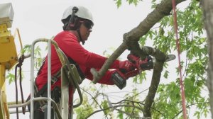 MILWAUKEE® M18FHS20