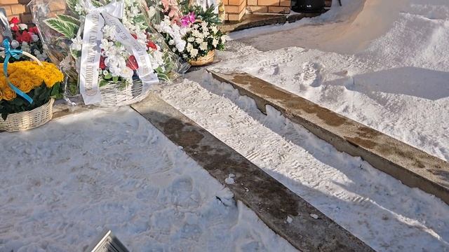 23.02.2026г.Красивые цветы самому лучшему мужчине 💐 🙏 ♥️ 😥 смотреть онлайн