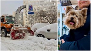 Снегоуборщик спас машину, ветеринар велел вернуться 22.02.26