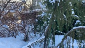 Скоро весна | Дачный обзор