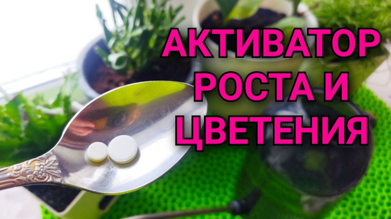 Лучший питательный раствор для комнатных растений за 5 минут для роста и цветения 🌸🌱 смотреть онлайн