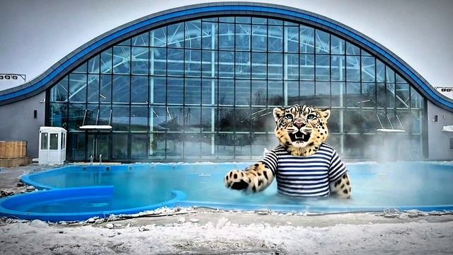 МС Билдингс: Строим быстровозводимые здания. Репортаж барса-прораба с объекта Термы Наутико 🏗️