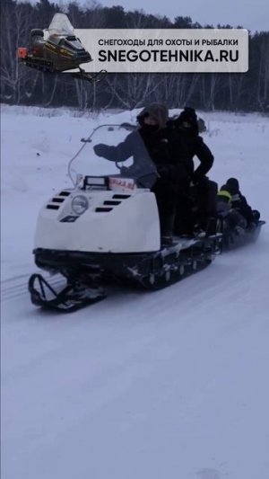 Чем порадовать внуков в деревне?