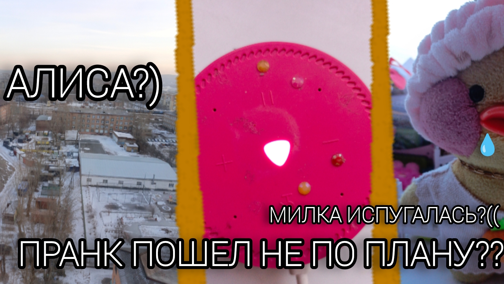 ПРАНК ПОШЕЛ НЕ ПО ПЛАНУ? КАК ОТУЧИТЬ УТОЧКУ ОТ ТИКТОКА)))