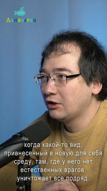 Вся правда о Губке Бобе. Рассказывает гидробиолог