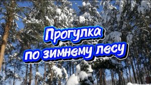 Прогулка по зимнему лесу, красота зимней природы и музыка для релакса