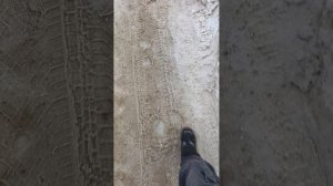 зима заканчивается