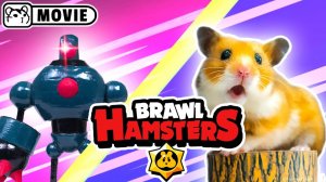 Турнир по борьбе с хомячьим боссом-Brawl Stars world 🐹 Хомяки против робота 🐹 Хомура Хэм