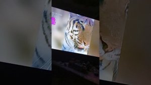 скинь видос №8