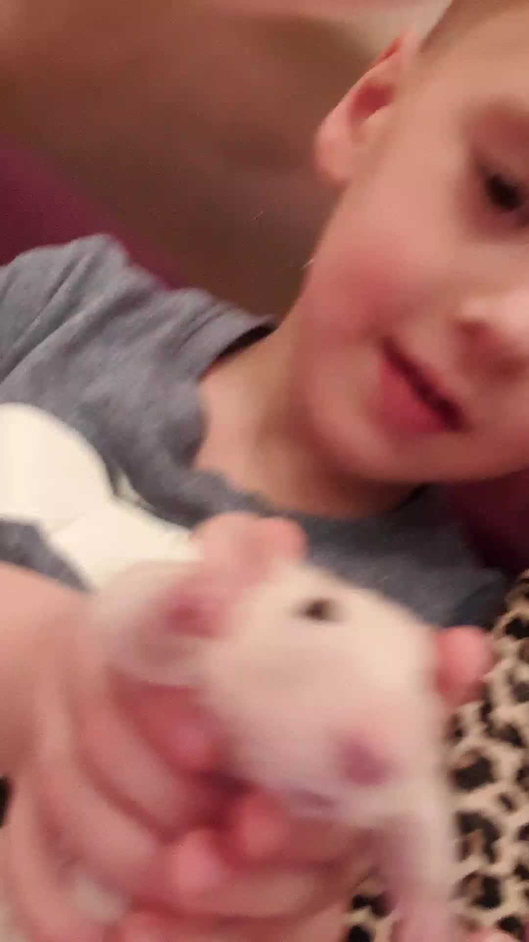 Блог ❣️нашего❣️ вечера❣️