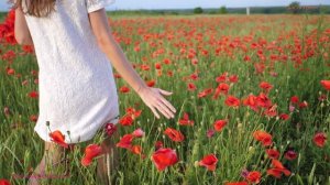 " Вновь кружится вороньё "  муз/сл. Саламатин С.