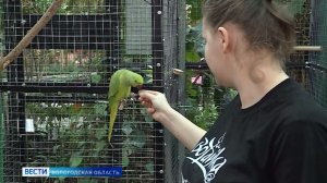 В гости к попугаям: новый авиарий установили в Ботаническом саду Вологды