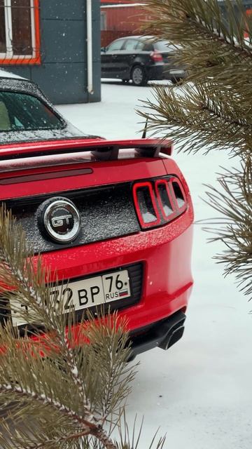 Ford Mustang ROUSH #детейлинг #automobile #детейлингцентр #юмор #auto #belovlab