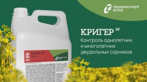 Кригер — стандарт защиты рапса от двудольных сорняков