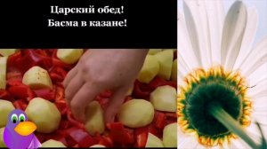 Царский обед Басма в казане