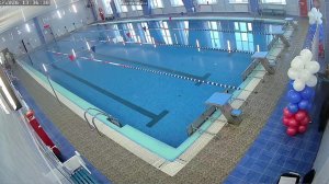 Соревнования по плаванию "День стайера"