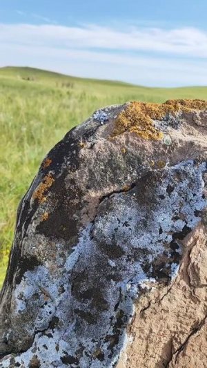 Путешествие в Хакасию на озеро Шира летом 2025 продолжается 🏞️ #хакасия #шира #физрукпалыч #travel