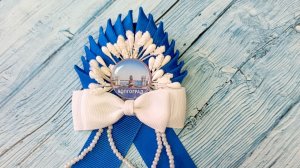 Лисина Наталья Вячеславовна, МОУ ДЮЦ Советского района