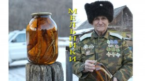 Мельники (Приморье)