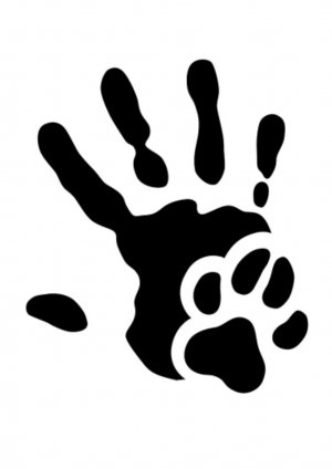 влог с чипом