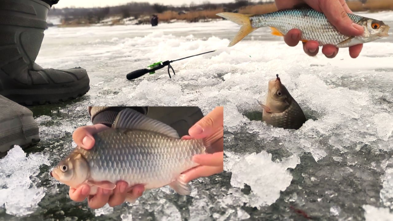 ТРОФЕЙНАЯ ЗИМНЯЯ РЫБАЛКА! ЖОР КАРАСЯ НА ЛЬДУ! ЛОВЛЯ ПЛОТВЫ НА МОРМЫШКУ! РЫБАЛКА 2026. смотреть онлайн