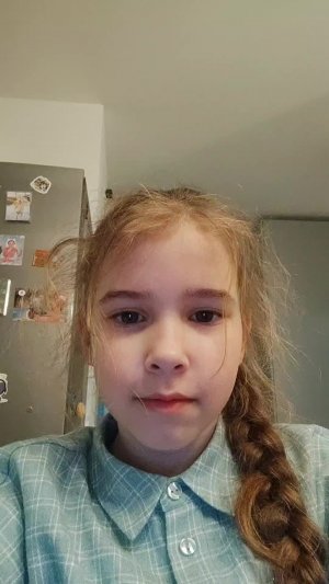 дом из печенек