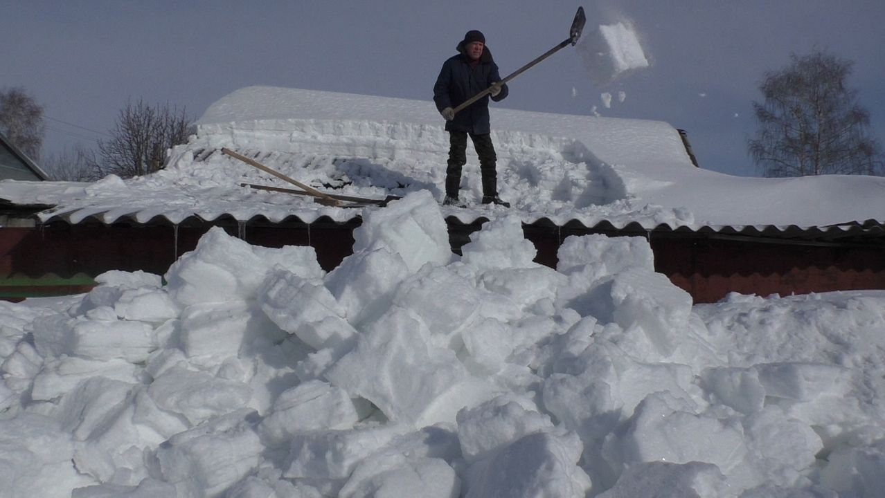 Февральский коллаж 2026г.