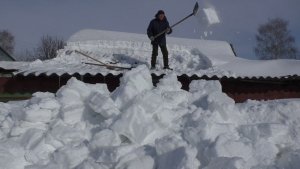 Февральский коллаж 2026г.