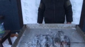 улов форели