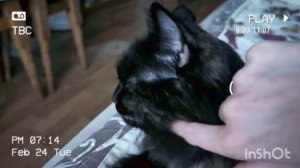 МУРЧИМ ПОНЕМНОГУ