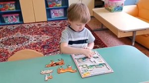 День домашних питомцев.