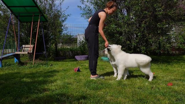 "Б" Ин Терра Веритас смотреть онлайн