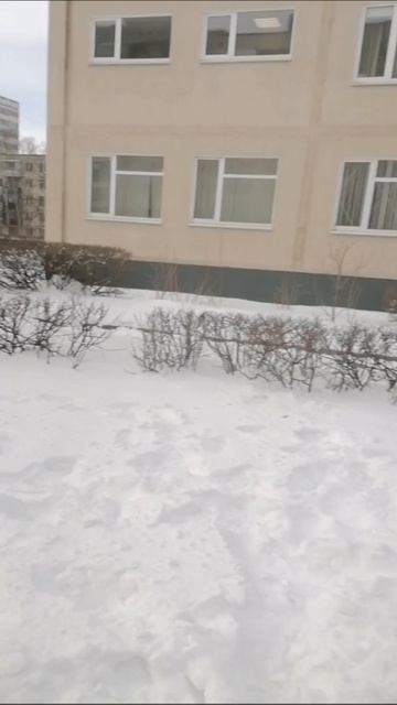 Мои друзья стали призраками часть 3 (Назар херобрин и бешеный В...)