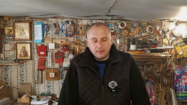 матки сеголетки