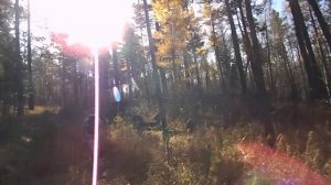 Скальник  АВРОРА