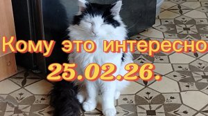 Кому это интересно 😉 25-02-2026 и привет от Егорки.