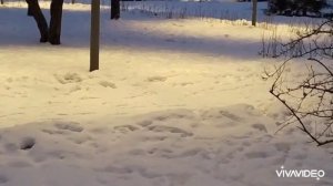 ❤️❄️❄️Кто-то ищет в грядущем кого-то, я же прошлое в сердце храню...❤️❄️❄️