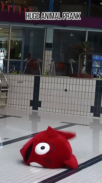 Funny prank #funny #funnyvideos смотреть онлайн