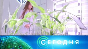 «Сегодня»: 25 февраля 2026 года. 10:00 | Выпуск новостей | Новости НТВ