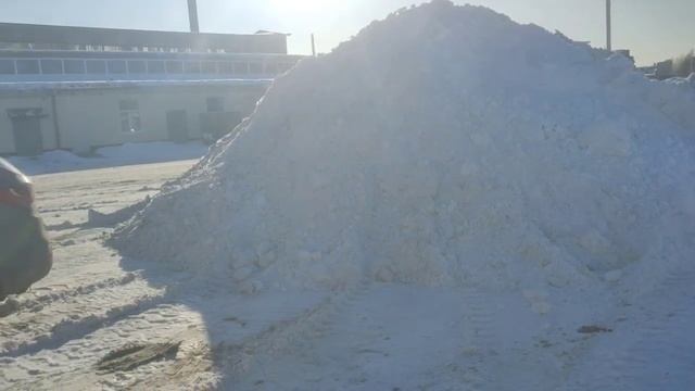 VID_20260225_162616_793 смотреть онлайн