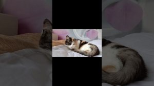 Рассказ - "Страшный дождь"