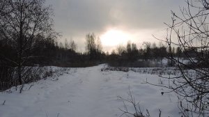 DSCN8227Почуял весну и тетерев .....