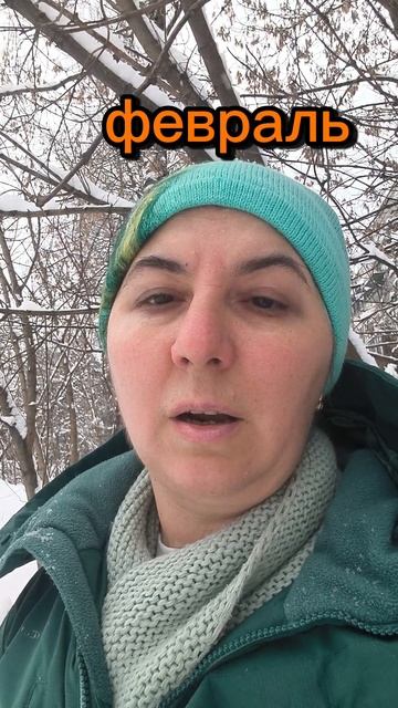 С зимней сказкой перебор